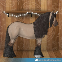 Horse Color:Liver Red Dun Rabicano