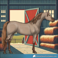 Horse Color:Liver Red Dun Rabicano 