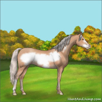 Horse Color:Silver Amber Champagne Frame 