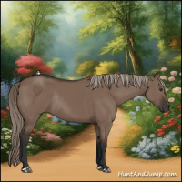 Horse Color:Liver Red Dun Rabicano