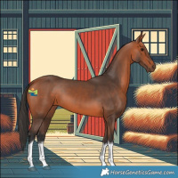Horse Color:Bay Tobiano 