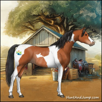 Horse Color:Bay Tobiano Rabicano 