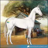 Horse Color:Perlino Dun 