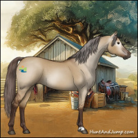 Horse Color:Gray Red Dun 