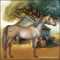 Horse Color:Gray Red Dun 