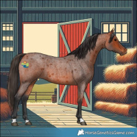 Horse Color:Bay Roan 