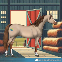 Horse Color:Red Dun 