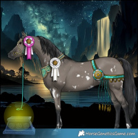 Horse Color:White Spotted Grullo