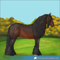 Horse Color:Brown 