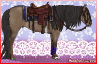 Horse Color:Liver Red Dun Rabicano 
