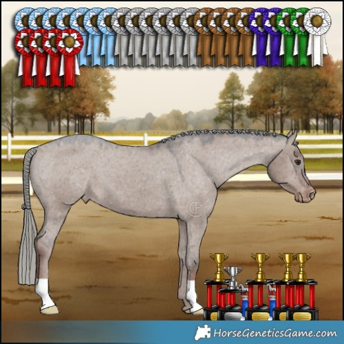 Horse Color:Liver Red Dun Mushroom Appaloosa 