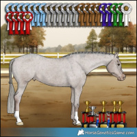 Horse Color:Liver Red Dun Mushroom Appaloosa