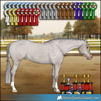 Horse Color:Liver Red Dun Mushroom Appaloosa