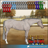 Horse Color:Liver Red Dun Mushroom Appaloosa 