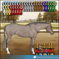 Horse Color:Liver Red Dun Mushroom Appaloosa 