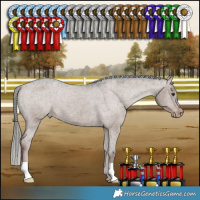 Horse Color:Liver Red Dun Mushroom Appaloosa 