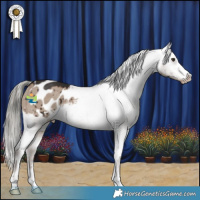 Horse Color:Liver Red Dun Mushroom Varnish Brindle 