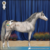 Horse Color:Liver Red Dun Mushroom Appaloosa Brindle