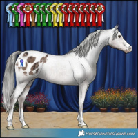 Horse Color:Liver Red Dun Mushroom Appaloosa Brindle