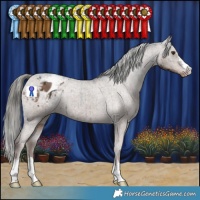 Horse Color:Liver Red Dun Mushroom Appaloosa Brindle 
