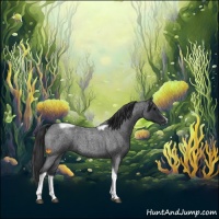 Horse Color:Blue Roan Tobiano Frame 