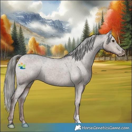 Horse Color:Liver Red Dun Mushroom Appaloosa 