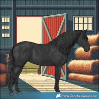 Horse Color:Black 
