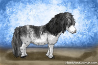 Horse Color:Gray White Spotted Black  and Gray White Spotted Black 