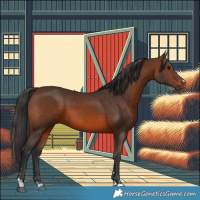 Horse Color:Brown 