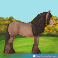 Horse Color:Sable Champagne 