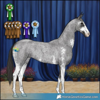 Horse Color:Smoky Blue Roan Sabino 