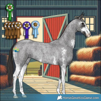Horse Color:Smoky Blue Roan Sabino 