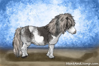 Horse Color:Gray White Spotted Black  and Gray White Spotted Silver Black 