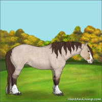 Horse Color:Liver Red Dun Roan Splash Rabicano 