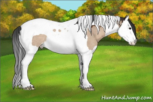 Horse Color:Brown Dun Splash Tobiano Rabicano 