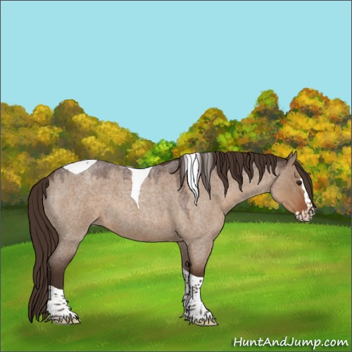 Horse Color:Liver Red Dun Roan Splash Tobiano Rabicano 