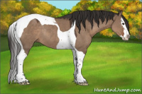 Horse Color:Liver Red Dun Splash Tobiano Rabicano 