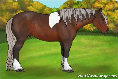Horse Color:Silver Brown Tobiano Rabicano 