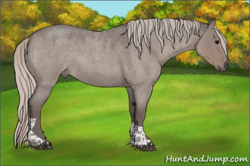 Horse Color:Silver Grullo Roan Tobiano Rabicano 