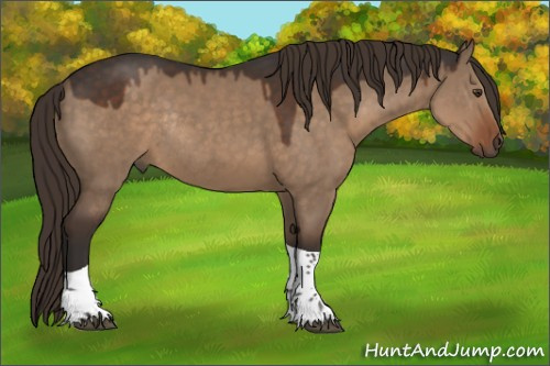 Horse Color:Liver Red Dun Tobiano Rabicano 