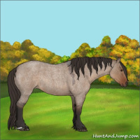 Horse Color:Liver Red Dun Roan Rabicano 