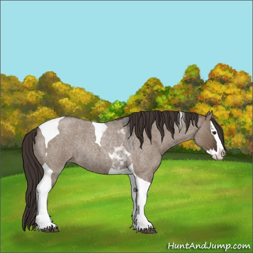 Horse Color:Liver Red Dun Roan Splash Tobiano Rabicano 