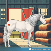 Horse Color:Silver Perlino Dun Tobiano 