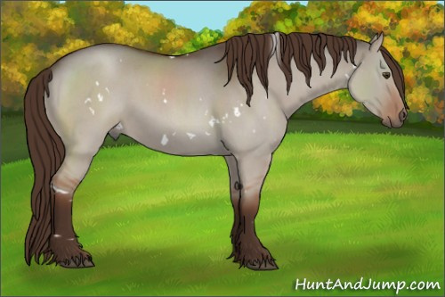 Horse Color:White Spotted Liver Red Dun Roan Rabicano 