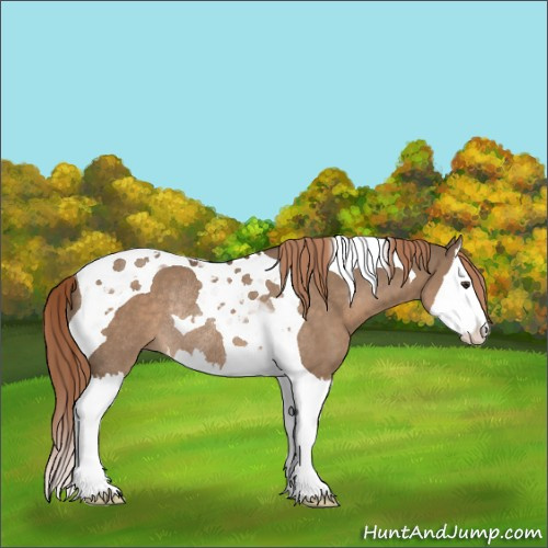 Horse Color:Liver Red Dun Splash Tobiano Rabicano 