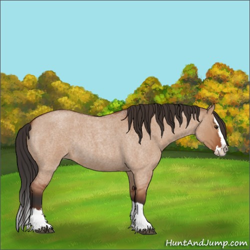Horse Color:Brown Roan Dun Splash Rabicano 