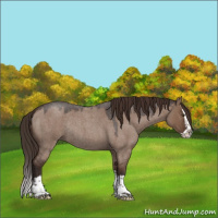 Horse Color:Liver Red Dun Roan Splash Rabicano 