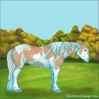 Horse Color:Thunderstruck Silver Brown Dun Splash Tobiano Rabicano 