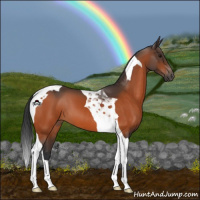 Horse Color:Bay Tobiano 