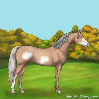 Horse Color:Silver Amber Champagne Frame